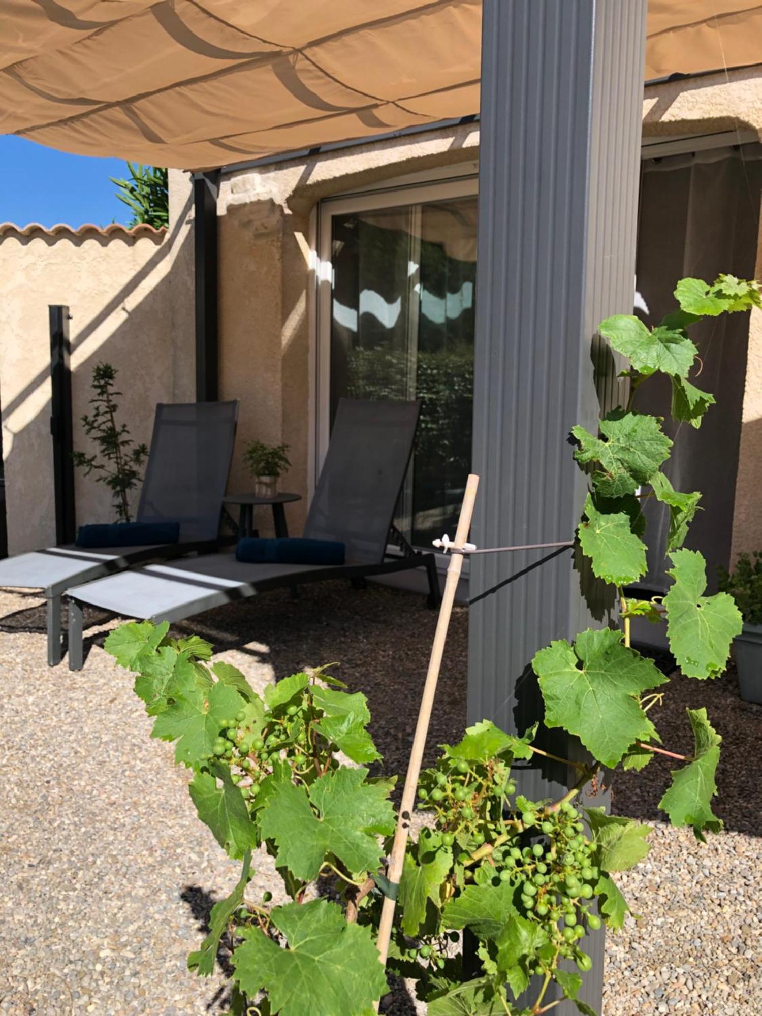 Marie Jean Chambre D'Hotes & Gite Oupia Bagian luar foto